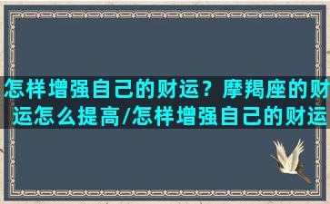 怎样增强自己的财运？摩羯座的财运怎么提高/怎样增强自己的财运？摩羯座的财运怎么提高-我的网站