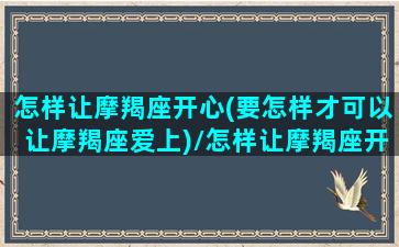 怎样让摩羯座开心(要怎样才可以让摩羯座爱上)/怎样让摩羯座开心(要怎样才可以让摩羯座爱上)-我的网站