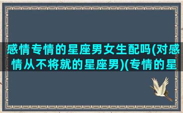 感情专情的星座男女生配吗(对感情从不将就的星座男)(专情的星座男排行)