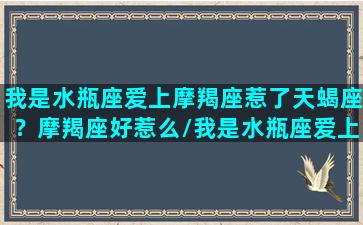 我是水瓶座爱上摩羯座惹了天蝎座？摩羯座好惹么/我是水瓶座爱上摩羯座惹了天蝎座？摩羯座好惹么-我的网站