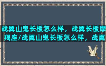 战翼山鬼长板怎么样，战翼长板摩羯座/战翼山鬼长板怎么样，战翼长板摩羯座-我的网站