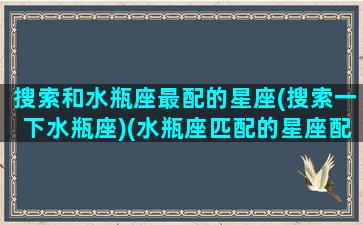 搜索和水瓶座最配的星座(搜索一下水瓶座)(水瓶座匹配的星座配对排行)