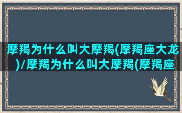 摩羯为什么叫大摩羯(摩羯座大龙)/摩羯为什么叫大摩羯(摩羯座大龙)-我的网站