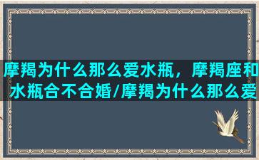 摩羯为什么那么爱水瓶，摩羯座和水瓶合不合婚/摩羯为什么那么爱水瓶，摩羯座和水瓶合不合婚-我的网站