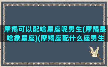 摩羯可以配啥星座呢男生(摩羯是啥象星座)(摩羯座配什么座男生)