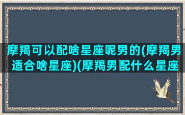 摩羯可以配啥星座呢男的(摩羯男适合啥星座)(摩羯男配什么星座男)