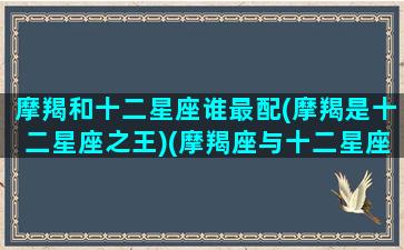 摩羯和十二星座谁最配(摩羯是十二星座之王)(摩羯座与十二星座配对指数排名)