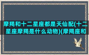 摩羯和十二星座都是天仙配(十二星座摩羯是什么动物)(摩羯座和十二星座谁最般配)