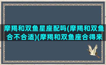 摩羯和双鱼星座配吗(摩羯和双鱼合不合适)(摩羯和双鱼座合得来吗)