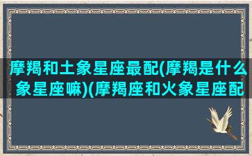 摩羯和土象星座最配(摩羯是什么象星座嘛)(摩羯座和火象星座配吗)