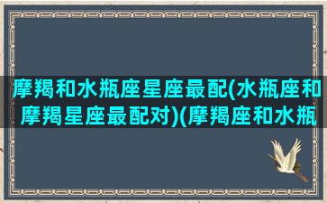 摩羯和水瓶座星座最配(水瓶座和摩羯星座最配对)(摩羯座和水瓶座匹配吗)