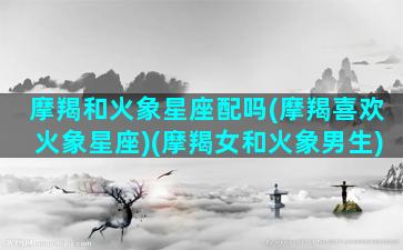 摩羯和火象星座配吗(摩羯喜欢火象星座)(摩羯女和火象男生)