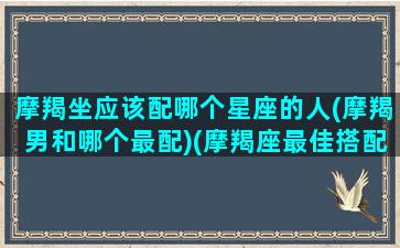 摩羯坐应该配哪个星座的人(摩羯男和哪个最配)(摩羯座最佳搭配星座)