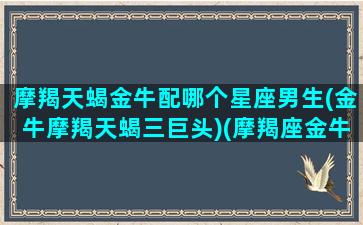 摩羯天蝎金牛配哪个星座男生(金牛摩羯天蝎三巨头)(摩羯座金牛座天蝎座)