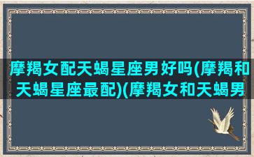 摩羯女配天蝎星座男好吗(摩羯和天蝎星座最配)(摩羯女和天蝎男配对指数是多少)