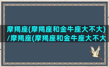 摩羯座(摩羯座和金牛座大不大)/摩羯座(摩羯座和金牛座大不大)-我的网站