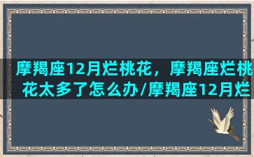 摩羯座12月烂桃花，摩羯座烂桃花太多了怎么办/摩羯座12月烂桃花，摩羯座烂桃花太多了怎么办-我的网站