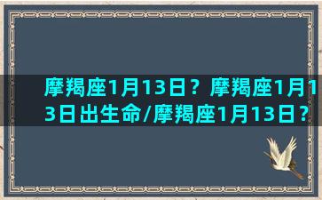 摩羯座1月13日？摩羯座1月13日出生命/摩羯座1月13日？摩羯座1月13日出生命-我的网站