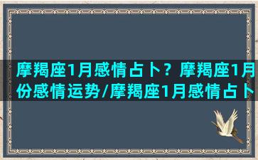 摩羯座1月感情占卜？摩羯座1月份感情运势/摩羯座1月感情占卜？摩羯座1月份感情运势-我的网站