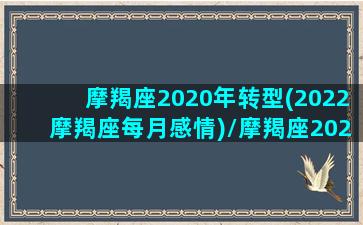 摩羯座2020年转型(2022摩羯座每月感情)/摩羯座2020年转型(2022摩羯座每月感情)-我的网站