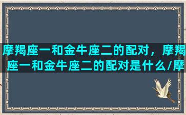 摩羯座一和金牛座二的配对，摩羯座一和金牛座二的配对是什么/摩羯座一和金牛座二的配对，摩羯座一和金牛座二的配对是什么-我的网站