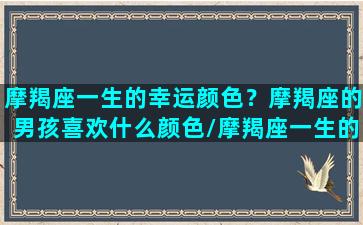 摩羯座一生的幸运颜色？摩羯座的男孩喜欢什么颜色/摩羯座一生的幸运颜色？摩羯座的男孩喜欢什么颜色-我的网站