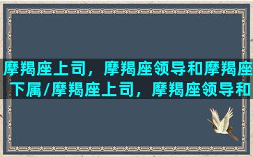 摩羯座上司，摩羯座领导和摩羯座下属/摩羯座上司，摩羯座领导和摩羯座下属-我的网站