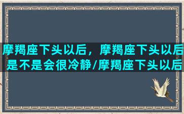 摩羯座下头以后，摩羯座下头以后是不是会很冷静/摩羯座下头以后，摩羯座下头以后是不是会很冷静-我的网站