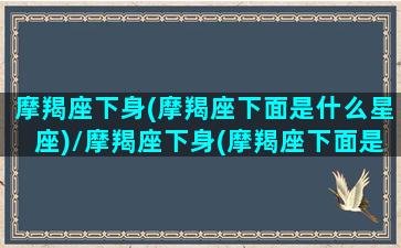 摩羯座下身(摩羯座下面是什么星座)/摩羯座下身(摩羯座下面是什么星座)-我的网站