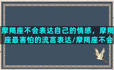 摩羯座不会表达自己的情感，摩羯座最害怕的流言表达/摩羯座不会表达自己的情感，摩羯座最害怕的流言表达-我的网站