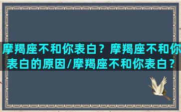 摩羯座不和你表白？摩羯座不和你表白的原因/摩羯座不和你表白？摩羯座不和你表白的原因-我的网站