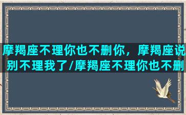 摩羯座不理你也不删你，摩羯座说别不理我了/摩羯座不理你也不删你，摩羯座说别不理我了-我的网站