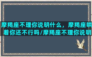 摩羯座不理你说明什么，摩羯座哄着你还不行吗/摩羯座不理你说明什么，摩羯座哄着你还不行吗-我的网站