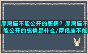 摩羯座不能公开的感情？摩羯座不能公开的感情是什么/摩羯座不能公开的感情？摩羯座不能公开的感情是什么-我的网站