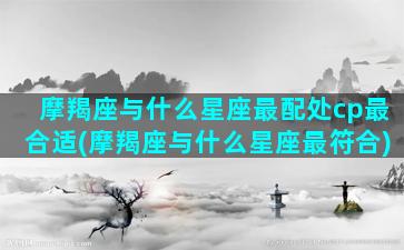 摩羯座与什么星座最配处cp最合适(摩羯座与什么星座最符合)