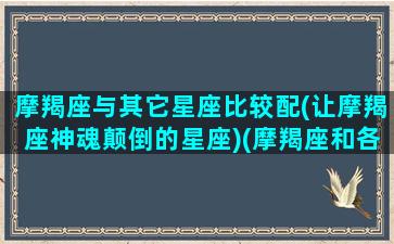 摩羯座与其它星座比较配(让摩羯座神魂颠倒的星座)(摩羯座和各个星座匹配率)