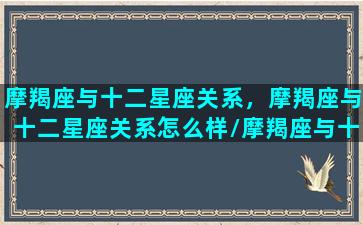 摩羯座与十二星座关系，摩羯座与十二星座关系怎么样/摩羯座与十二星座关系，摩羯座与十二星座关系怎么样-我的网站