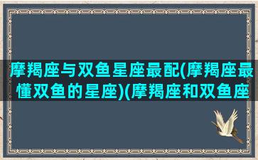 摩羯座与双鱼星座最配(摩羯座最懂双鱼的星座)(摩羯座和双鱼座最配夫妻相)