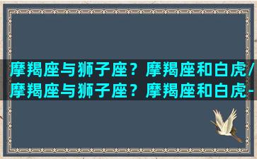 摩羯座与狮子座？摩羯座和白虎/摩羯座与狮子座？摩羯座和白虎-我的网站