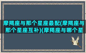 摩羯座与那个星座最配(摩羯座与那个星座互补)(摩羯座与哪个星座最搭)