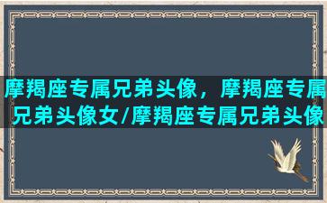 摩羯座专属兄弟头像，摩羯座专属兄弟头像女/摩羯座专属兄弟头像，摩羯座专属兄弟头像女-我的网站