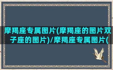 摩羯座专属图片(摩羯座的图片双子座的图片)/摩羯座专属图片(摩羯座的图片双子座的图片)-我的网站