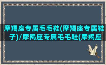 摩羯座专属毛毛鞋(摩羯座专属鞋子)/摩羯座专属毛毛鞋(摩羯座专属鞋子)-我的网站