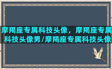 摩羯座专属科技头像，摩羯座专属科技头像男/摩羯座专属科技头像，摩羯座专属科技头像男-我的网站