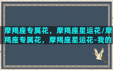 摩羯座专属花，摩羯座星运花/摩羯座专属花，摩羯座星运花-我的网站