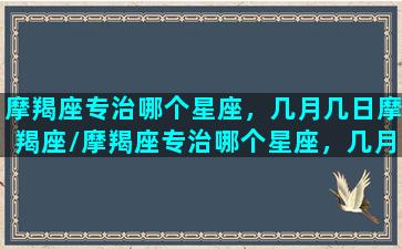 摩羯座专治哪个星座，几月几日摩羯座/摩羯座专治哪个星座，几月几日摩羯座-我的网站