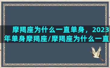 摩羯座为什么一直单身，2023年单身摩羯座/摩羯座为什么一直单身，2023年单身摩羯座-我的网站