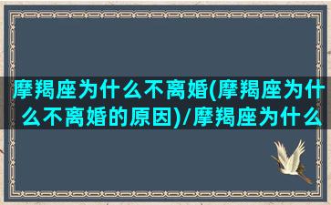 摩羯座为什么不离婚(摩羯座为什么不离婚的原因)/摩羯座为什么不离婚(摩羯座为什么不离婚的原因)-我的网站