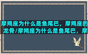 摩羯座为什么是鱼尾巴，摩羯座的龙骨/摩羯座为什么是鱼尾巴，摩羯座的龙骨-我的网站