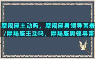 摩羯座主动吗，摩羯座男领导害羞/摩羯座主动吗，摩羯座男领导害羞-我的网站